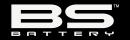 BS Battery